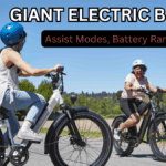 Giant Electric Bicycle (2025): Assist Modes, Battery Range & Prices