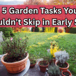 5 Garden Tasks You Shouldn’t Skip in Early Spring