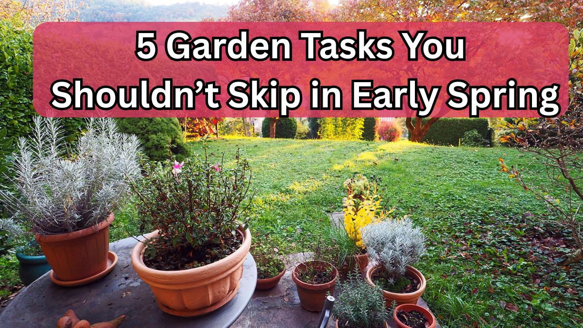 5 Garden Tasks You Shouldn’t Skip in Early Spring