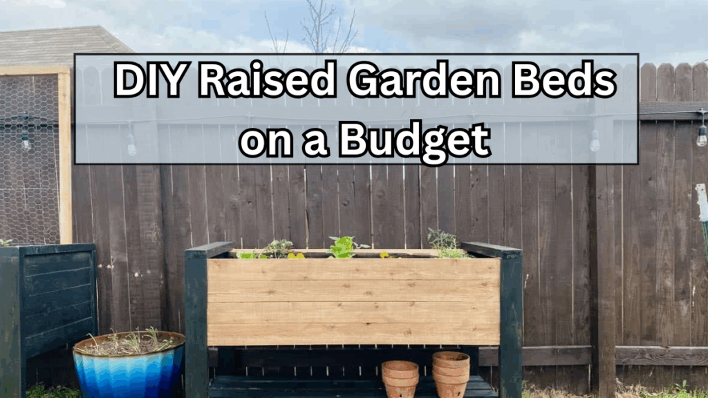 DIY Raised Garden Beds on a Budget (Step-by-Step Guide)