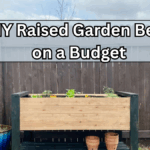 DIY Raised Garden Beds on a Budget (Step-by-Step Guide)