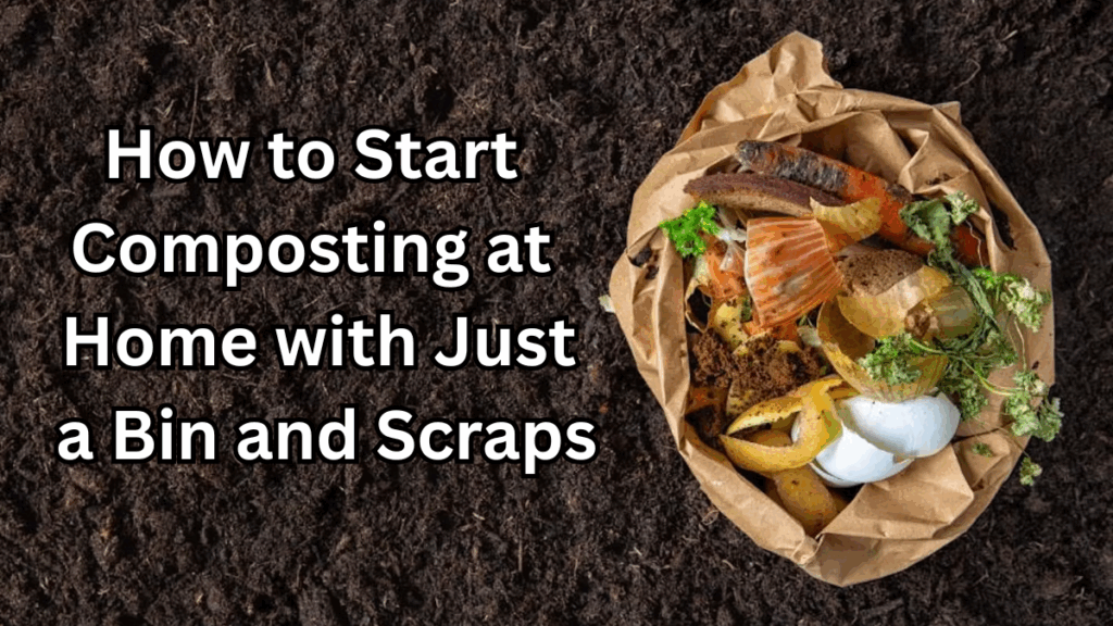 How to Start Composting at Home with Just a Bin and Scraps