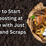 How to Start Composting at Home with Just a Bin and Scraps