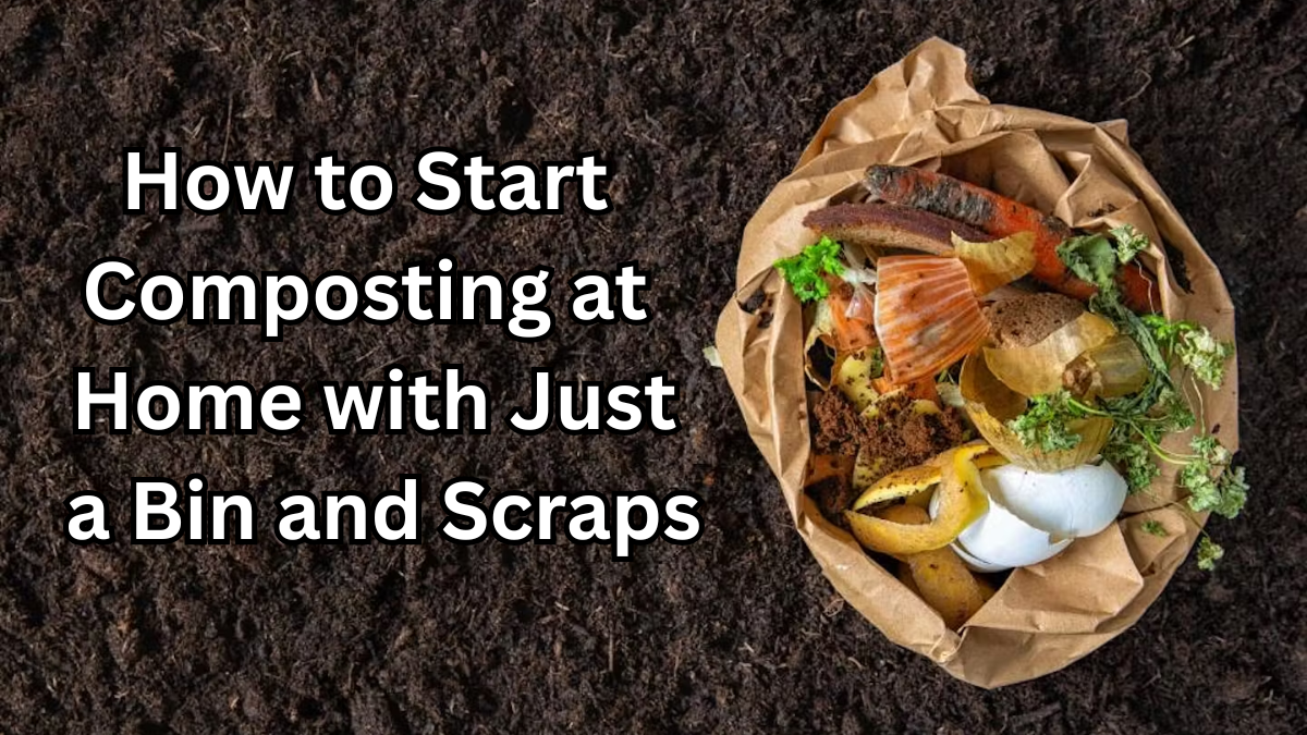How to Start Composting at Home with Just a Bin and Scraps