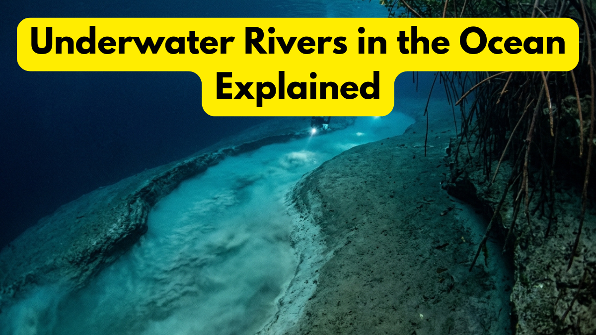 Underwater Rivers in the Ocean Explained